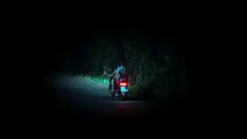 Backdrop to the movie "The Cat Is A Wide-Eyed Night" #1638880