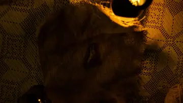 Backdrop to the movie "The Monkey