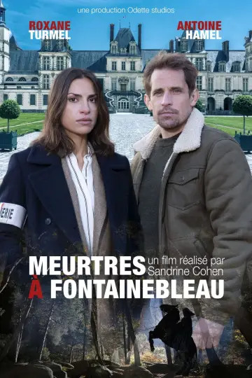 Poster to the movie "Meurtres à Fontainebleau" #1573929