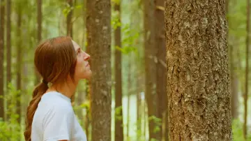 Backdrop to the movie "Trees" #1568391