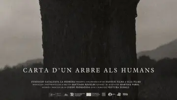 Backdrop to the movie "Carta d’un arbre als humans" #1569646