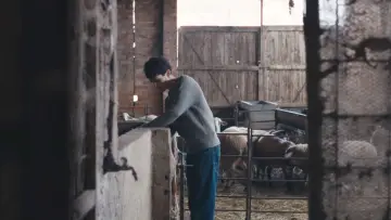 Backdrop to the movie "Black Sheep" #1639691