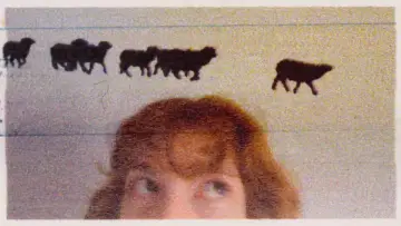 Backdrop to the movie "3 Lambs" #1638595