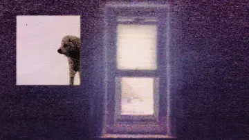 Backdrop to the movie "3 Lambs" #1638600
