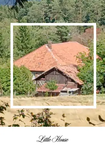 Little House poster