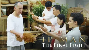 Backdrop to the movie "Ip Man: The Final Fight" #302378