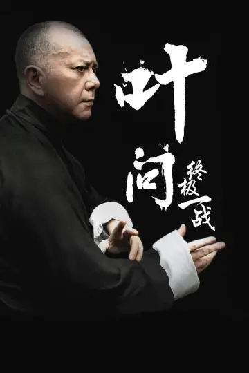Poster to the movie "Ip Man: The Final Fight" #459050