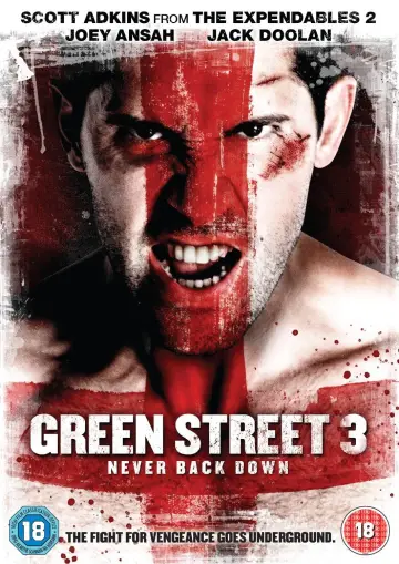 Poster to the movie "Green Street 3: Never Back Down" #1097392