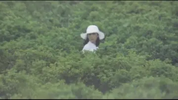 Backdrop to the movie "Bridal Doll" #933991