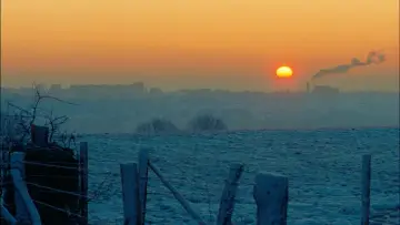 Backdrop to the movie "You and the Night" #1148015