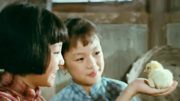 Backdrop to the movie "My Memories of Old Beijing" #482937