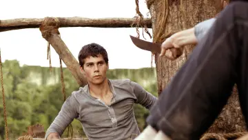 Backdrop to the movie "The Maze Runner" #551480