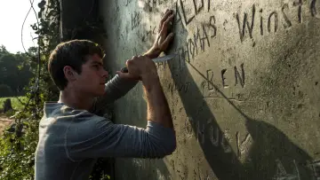 Backdrop to the movie "The Maze Runner" #551488