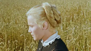 Backdrop to the movie "The Sins of Rose Bernd" #681125