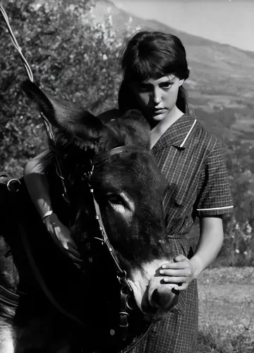 Poster to the movie "Au Hasard Balthazar" #985938