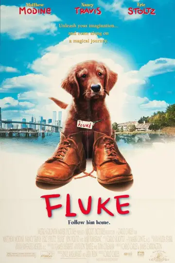 Poster to the movie "Fluke" #1065343