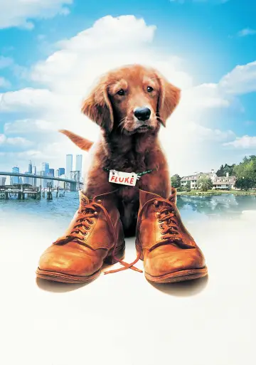 Poster to the movie "Fluke" #1065346