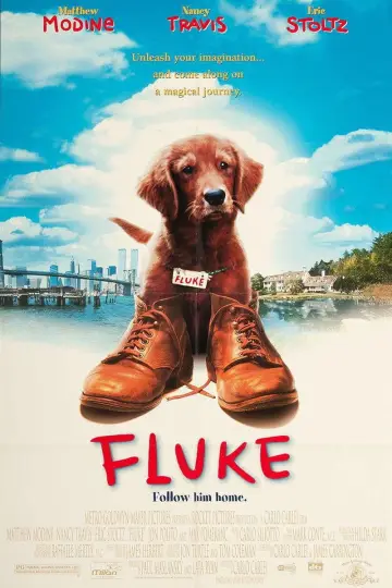 Poster to the movie "Fluke" #1065349