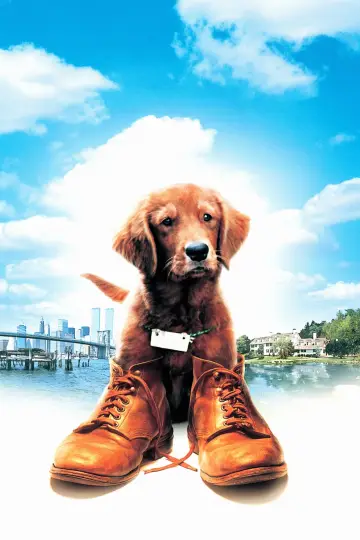 Poster to the movie "Fluke" #1065350
