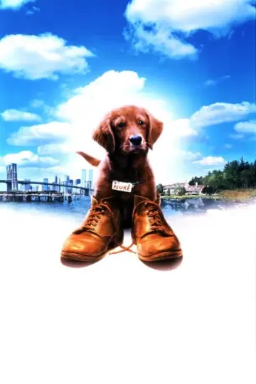 Poster to the movie "Fluke" #423486