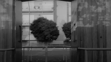 Backdrop to the movie "L
