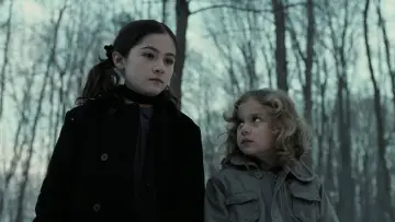 Backdrop to the movie "Orphan" #698947