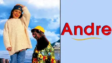 Backdrop to the movie "Andre" #1075564
