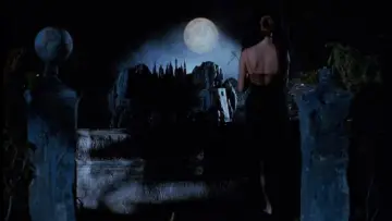 Backdrop to the movie "Cemetery Man" #993617