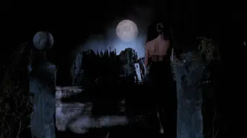 Backdrop to the movie "Cemetery Man" #993648