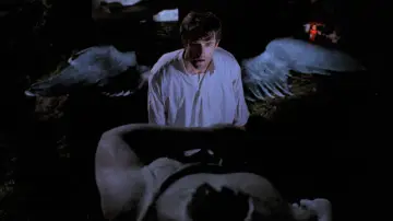 Backdrop to the movie "Cemetery Man" #993655
