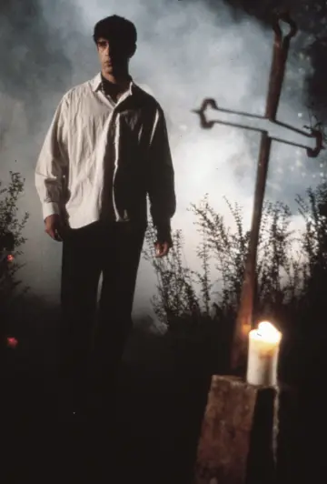 Poster to the movie "Cemetery Man" #993672