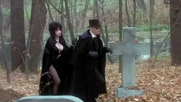 Backdrop to the movie "Elvira