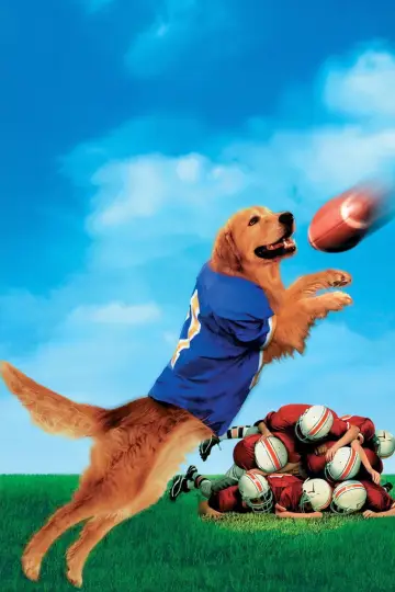 Poster to the movie "Air Bud: Golden Receiver" #1047579