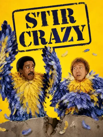 Poster to the movie "Stir Crazy" #1046624