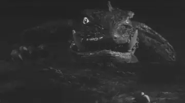 Backdrop to the movie "Gamera, the Giant Monster" #1203456