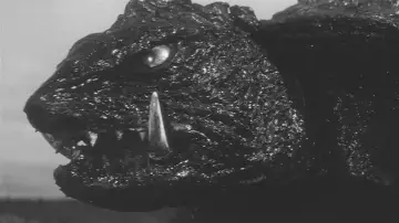 Backdrop to the movie "Gamera, the Giant Monster" #1203461