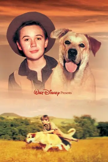 Poster to the movie "Old Yeller" #146173