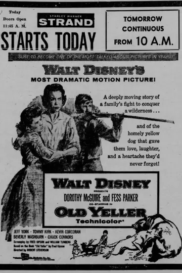Poster to the movie "Old Yeller" #714612
