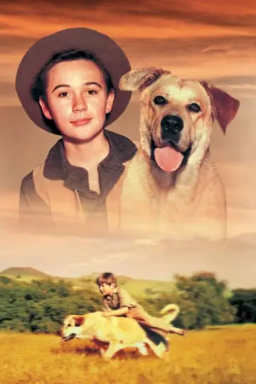 Poster to the movie "Old Yeller" #714614