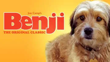 Backdrop to the movie "Benji" #1117404