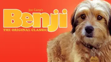 Backdrop to the movie "Benji" #1117405