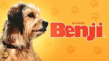 Backdrop to the movie "Benji" #1117406