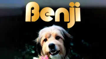 Backdrop to the movie "Benji" #1117407