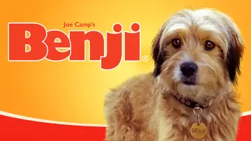 Backdrop to the movie "Benji" #1117408