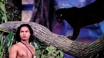 Backdrop to the movie "Jungle Book" #1042348