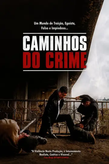 Poster to the movie "A Dirty Carnival" #1430541