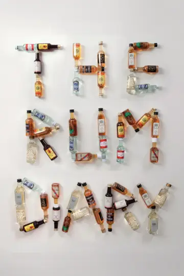 Poster to the movie "The Rum Diary" #946152