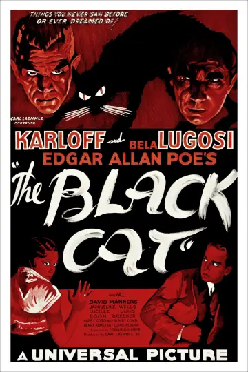 Poster to the movie "The Black Cat" #1095131