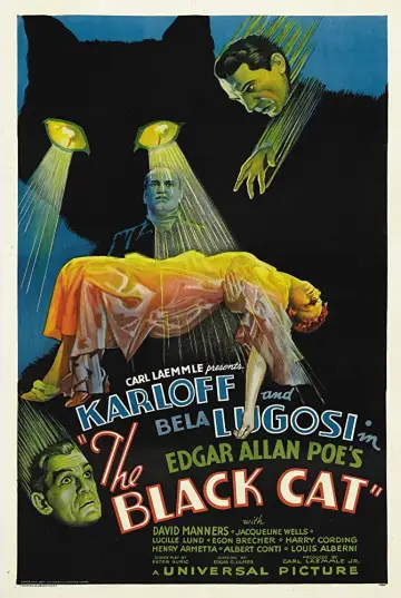 Poster to the movie "The Black Cat" #1095132