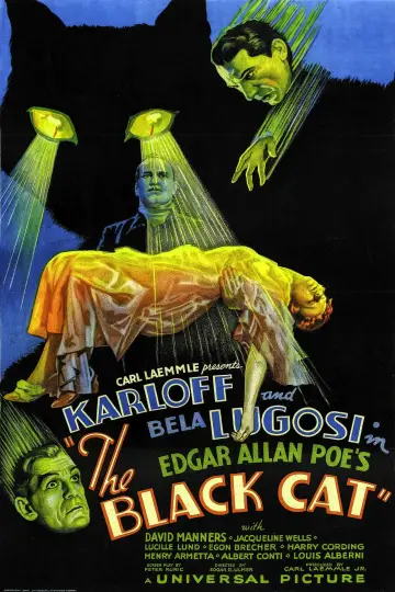 Poster to the movie "The Black Cat" #1095138